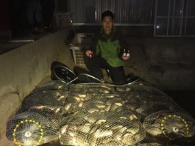 黑龙江省夏季钓鱼技巧（解析夏季钓鱼的窍门）