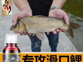 野钓回锅鱼的技巧和方法（掌握关键技巧让你的回锅鱼更美味）