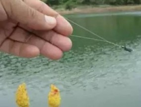 钓鱼技巧大揭秘（调漂攻略，轻松钓大鱼）