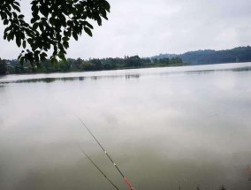 储水池钓鱼技巧（钓鱼达人分享的高效储水池钓鱼秘籍）