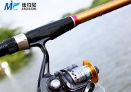 冬季海竿野钓技巧（寒冷季节钓鱼的窍门与技术）