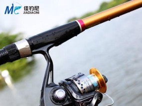 冬季海竿野钓技巧（寒冷季节钓鱼的窍门与技术）