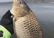 冬天水库野钓技巧有哪些？如何提高钓法效率？