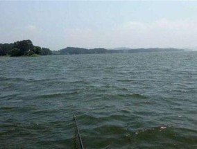春季野外钓鱼技巧（掌握春季野外钓鱼的方法，享受优雅的垂钓乐趣）