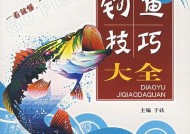 短竹竿钓鱼技巧有哪些？如何提高短竹竿钓鱼的成功率？