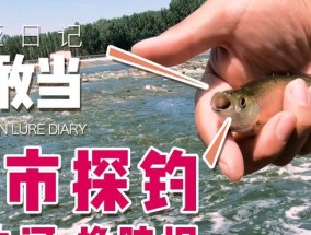 白条连竿钓鱼技巧是什么？如何提高连竿成功率？
