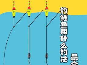 野外钓鲤鱼的正确方法和技巧（轻松掌握）