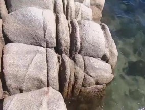 钓鱼赶海抓龙虾技巧（海钓龙虾的实用技巧及注意事项）