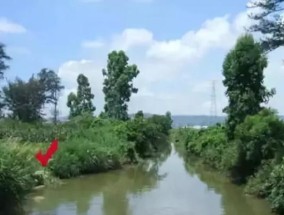 岸筏钓的绝密技巧是什么？如何提高岸筏钓的成功率？