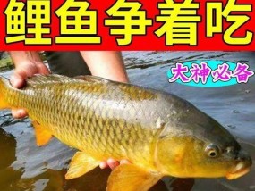 黑坑浮料钓鲤鱼技巧（挑选合适浮料）