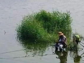 大雨后钓鱼应该注意什么？有哪些技巧可以提高成功率？