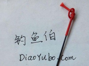 钓鱼技巧新手入门小药方？如何快速掌握钓鱼技巧？