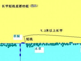 如何掌握钓鱼口轻调漂技巧？常见问题有哪些？