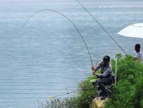 海南野钓金鲳鱼技巧和方法是什么？如何提高成功率？