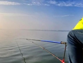 五月份钓鲫鱼的最佳技巧是什么？有哪些常见问题需要注意？