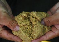 如何开饵搓饵？钓鱼开饵搓饵技巧教程有哪些常见问题？