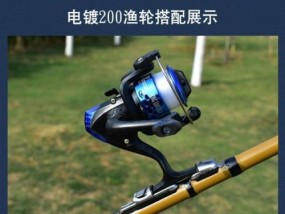 海筏钓鱼技巧教程（学会钓鱼海上的秘诀）
