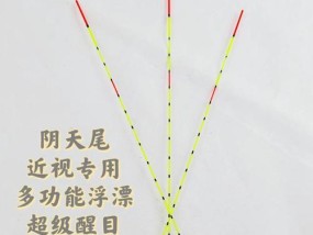 选择浮漂的4个依据（提升钓鱼技巧的关键点）