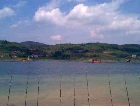 海竿排钩钓鱼技巧（掌握有效海竿排钩钓鱼技巧）
