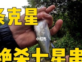 串钩夜钓白条技巧有哪些？如何提高夜钓白条的成功率？