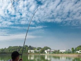 钓鱼技巧大全（掌握这几点）