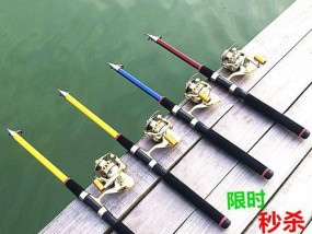 如何掌握钓鱼散炮抛竿技巧？常见问题有哪些？