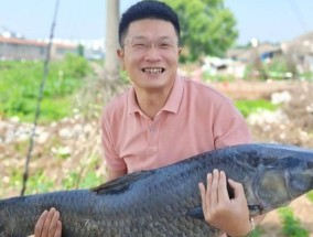 小青鱼钓鱼技巧与方法（掌握钓鱼技巧）