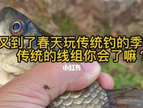 牛人传授钓鱼技巧（钓鱼技巧大师教你成为高手）