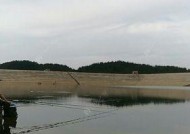 5月初野钓鱼技巧有哪些？如何应对天气变化带来的挑战？