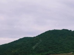 大型山体深水水库钓鱼技巧有哪些？如何提高钓鱼成功率？