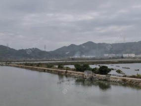 船钓沉底钓技巧有哪些？如何提高沉底钓的渔获量？