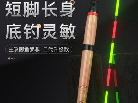 夜光鱼漂钓鱼实战技巧（挑战黑暗）
