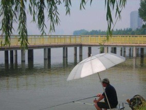 掌握18个经典技巧，成为野外钓鱼大师（钓鱼技巧大揭秘）