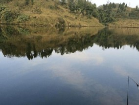 北海钓鱼最佳方法和技巧是什么？如何提高钓鱼技巧？