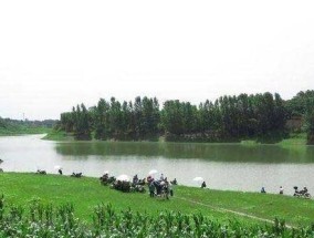 钓鱼技巧口诀大揭秘（提高钓鱼技巧的15个关键要点）