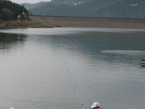 大雁山石岩水库钓鱼技巧和方法是什么？如何提高钓鱼成功率？