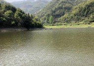 冬天下雨时如何使用海竿钓鱼？有哪些技巧可以提高钓鱼效率？