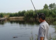 冬天水库钓鱼技巧几米为好？如何根据季节调整钓鱼深度？