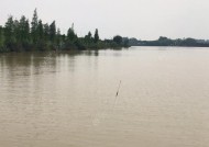 增江钓鱼技巧教程（提高钓鱼成功率的实用技巧）