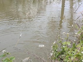 83岁钓鱼技巧有哪些？如何提高老年钓鱼技能？