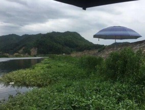 冬季钓点选择与技巧（寻找理想的冬季钓点）