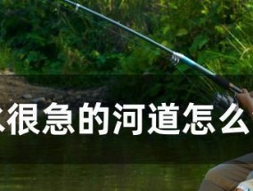 岸上钓鱼看漂技巧和方法有哪些？如何提高钓鱼时的漂相识别能力？