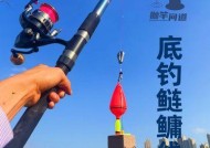 冬天海竿江河钓鱼技巧有哪些？如何应对低温天气的挑战？