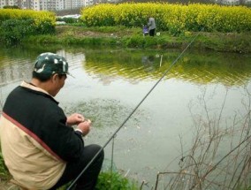 湖边蚯蚓野钓的乐趣与技巧（探秘湖边蚯蚓野钓）