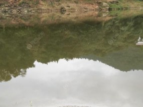 马头山水库钓鱼技巧（享受放松时光）