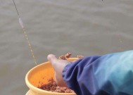 海竿野钓鲤鱼时葡萄作为饵料的正确使用方法是什么？