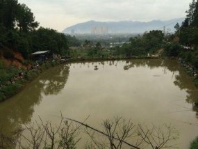 鱼塘石头钓鱼的技巧与方法（钓鱼技巧分享）