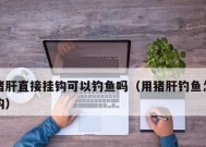 冬天用猪肝钓鱼技巧是什么？如何提高冬季钓鱼成功率？
