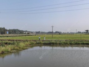 钓场信息与垂钓技巧交流（分享钓场信息，探讨垂钓技巧）