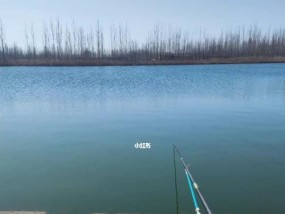 春天钓鱼发窝技巧教程？如何快速找到鱼群聚集地？
